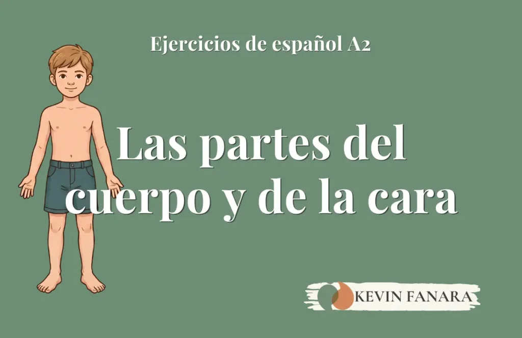Ejercicios de las partes del cuerpo y de la cara en español para estudiantes ELE de nivel A2